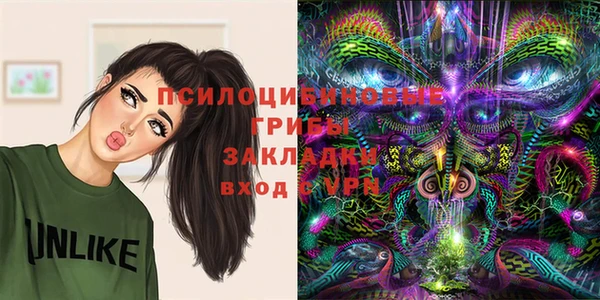 винт Алексин