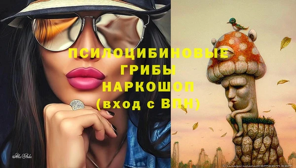 дживик Алзамай