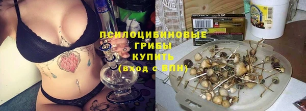 дживик Алзамай