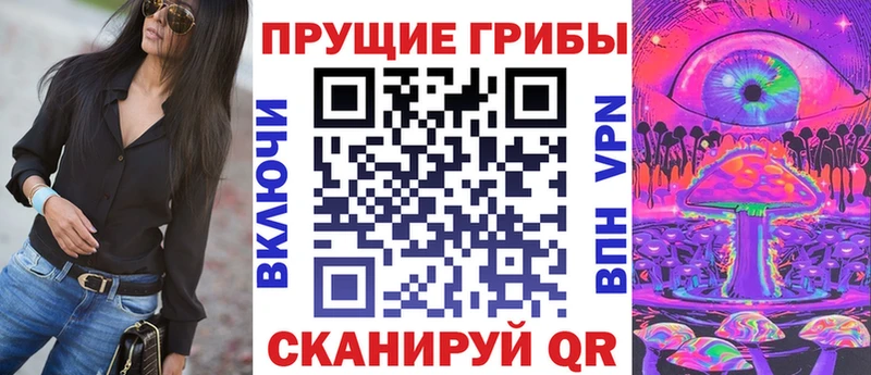 наркотики  Йошкар-Ола  сайты даркнета какой сайт  Псилоцибиновые грибы мухоморы  mega ТОР 